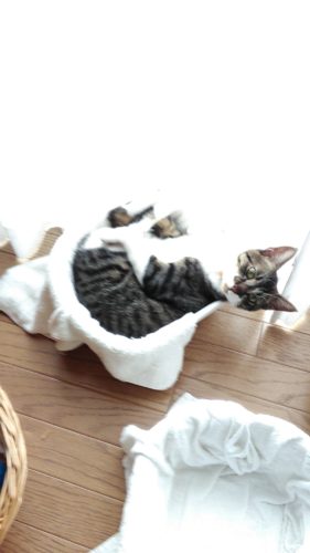 5日のチッチとこぶち（岩槻店1泊目）♪