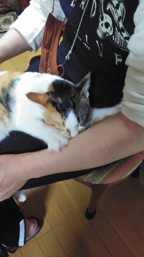 7日のチッチとこぶち（ＲさんとＴさんご来店）♪