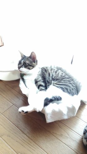 10日のチッチとこぶち♪