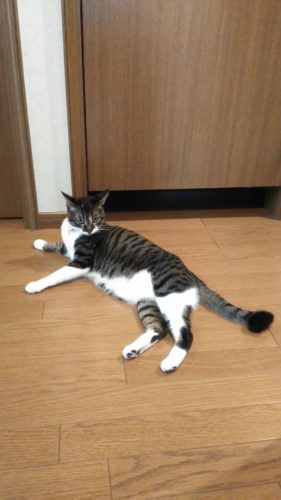 4日のチッチとこぶち♪