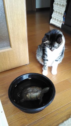 6日のチッチとこぶち♪