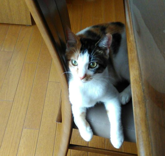 21日のチッチとこぶち♪