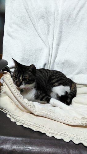 1日のチッチとこぶち♪