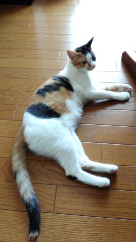 2日のチッチとこぶち♪