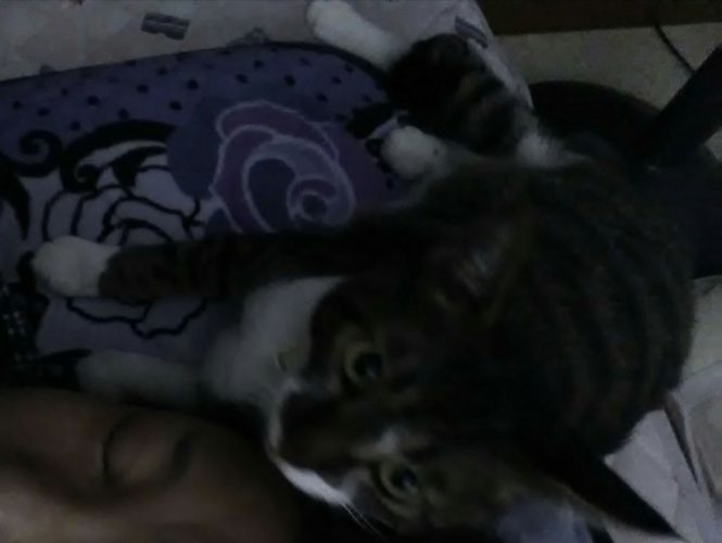 3日のチッチとこぶち♪