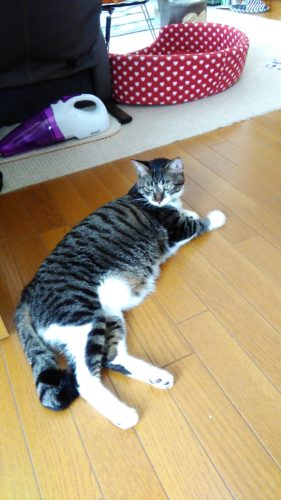 18日のチッチとこぶち♪