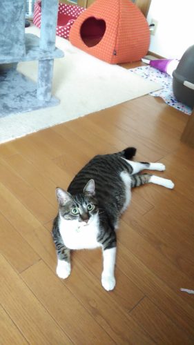 23日のチッチとこぶち♪