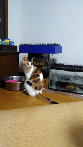 24日のチッチとこぶち♪