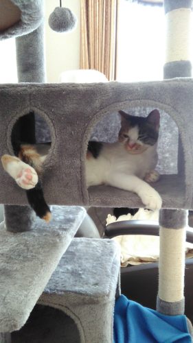 25日のチッチとこぶち♪