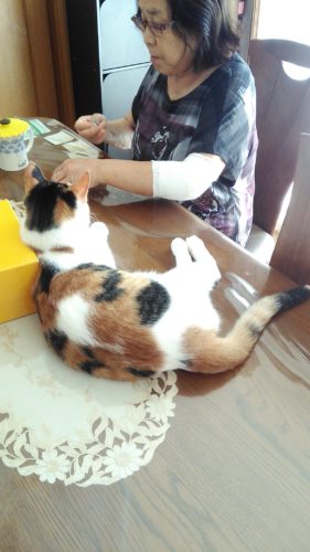 27日のチッチとこぶち♪