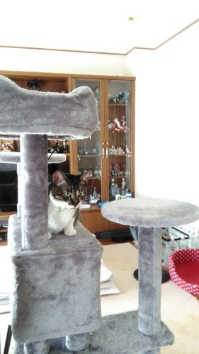 1日のチッチとこぶち♪