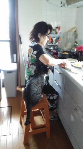 2日のチッチとこぶち♪