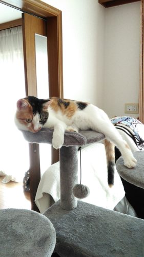 5日のチッチとこぶち♪