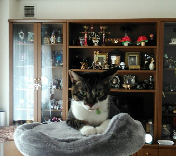 6日のチッチとこぶち♪