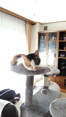 10日のチッチとこぶち♪