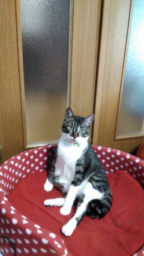 11日のチッチとこぶち♪