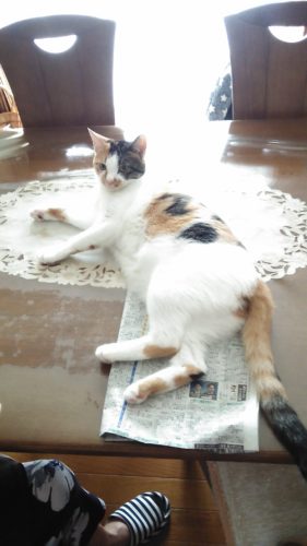 21日のチッチとこぶち♪