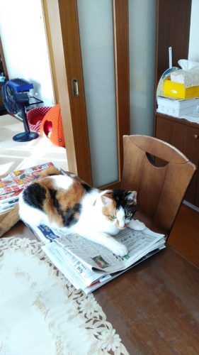 6日のチッチとこぶち♪