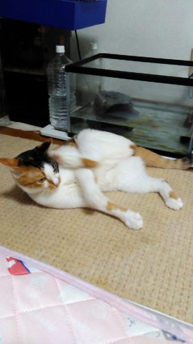 13日のチッチとこぶち♪