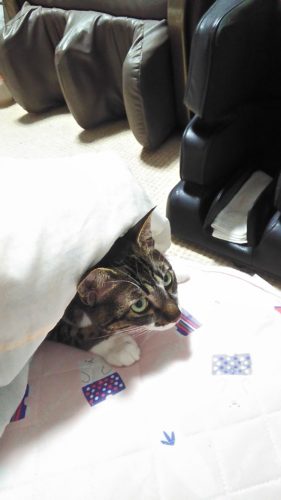 14日のチッチとこぶち♪