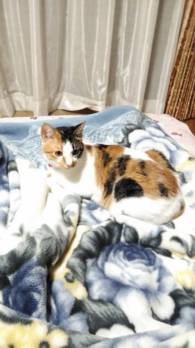 19日のチッチとこぶち（出逢って１年記念日）♪