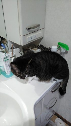 23日のチッチとこぶち♪