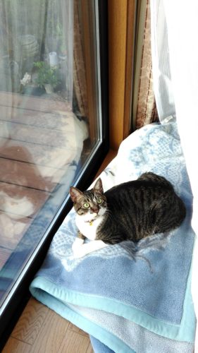 24日のチッチとこぶち♪