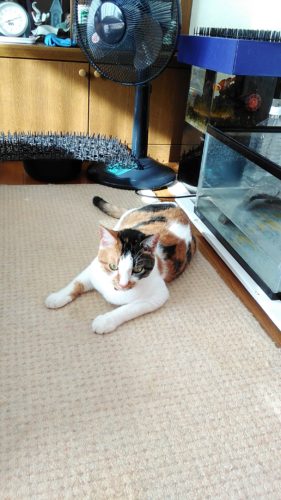 25日のチッチとこぶち♪