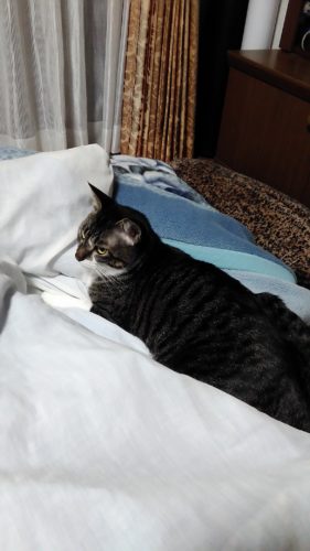 27日のチッチとこぶち♪