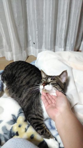 1日のチッチとこぶち♪