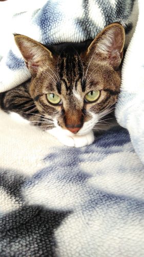 2日のチッチとこぶち♪