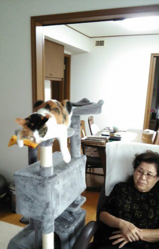 7日のチッチとこぶち♪