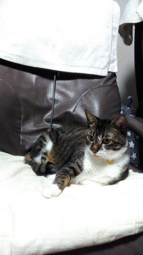 9日のチッチとこぶち♪