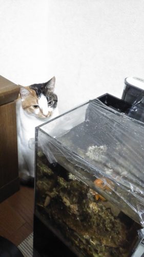 10日のチッチとこぶち♪