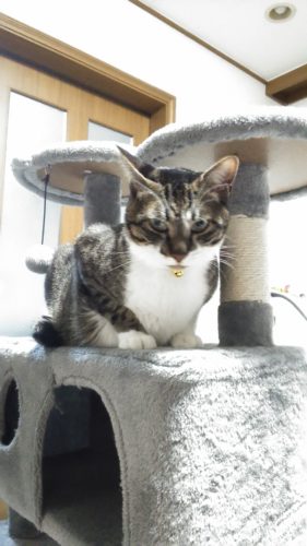 14日のチッチとこぶち♪