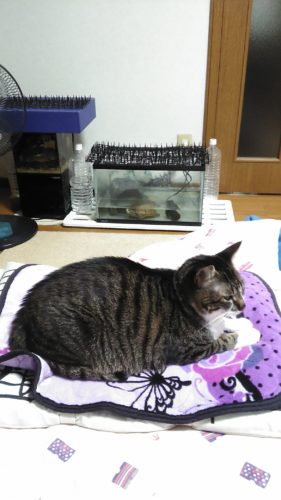 16日のチッチとこぶち♪