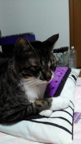 18日のチッチとこぶち♪