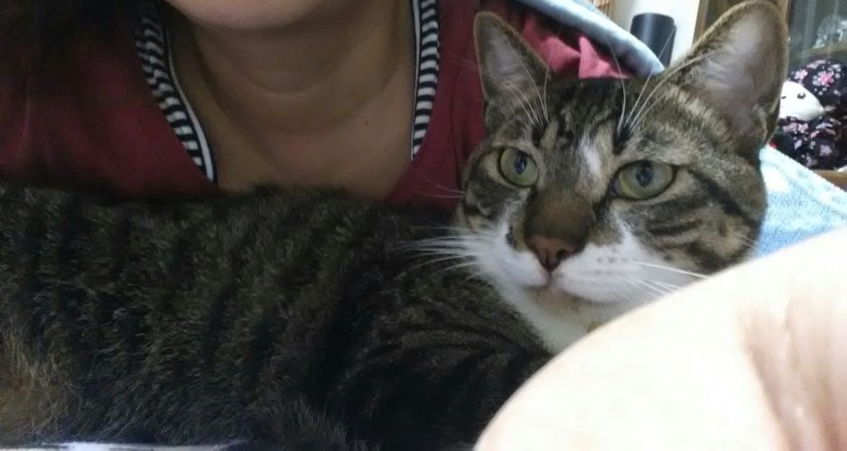 21日のチッチとこぶち♪