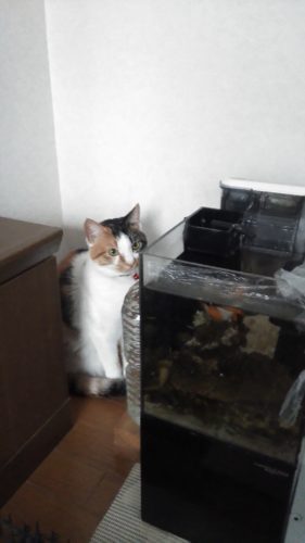 23日のチッチとこぶち♪