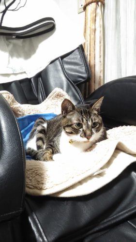 24日のチッチとこぶち♪