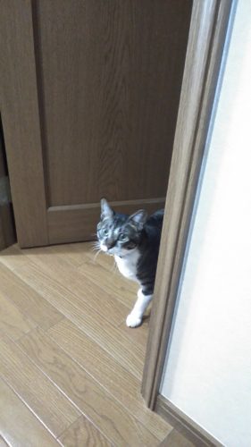 25日のチッチとこぶち♪