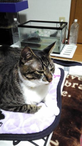 4日のチッチとこぶち♪