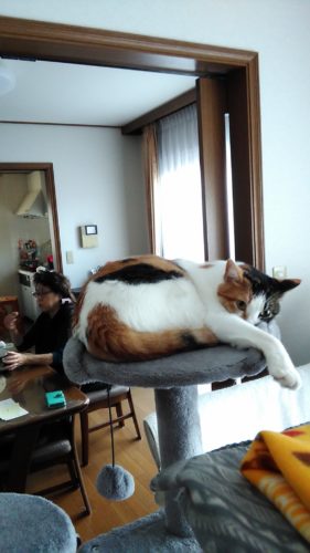 8日のチッチとこぶち♪