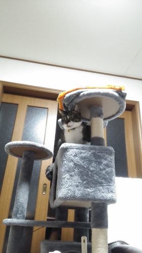 11日のチッチとこぶち♪