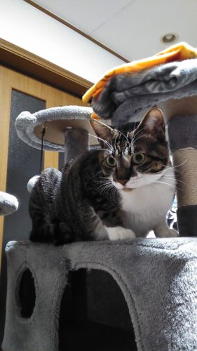 14日のチッチとこぶち♪