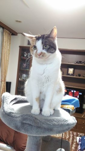 18日のチッチとこぶち♪