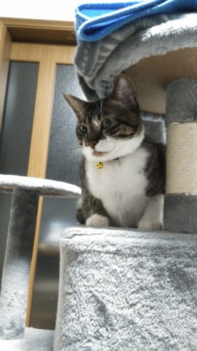 19日のチッチとこぶち♪