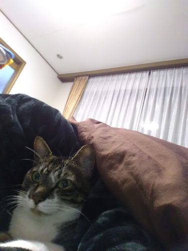 21日のチッチとこぶち♪