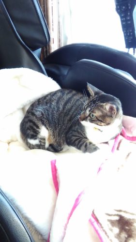 22日のチッチとこぶち♪