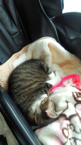 24日のチッチとこぶち♪